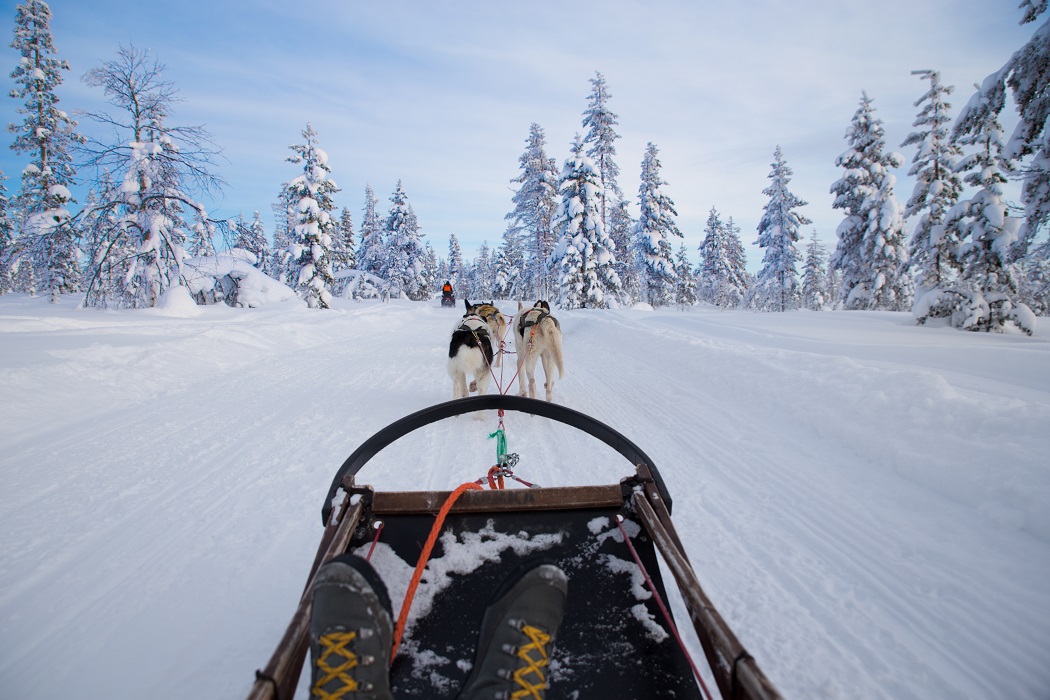 5 Alternative Winter Snow Sports to Skiing and Snowboarding